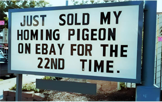 1748054627629.png