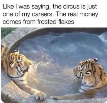 tigers cb.jpg