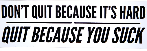 1748198331064.png