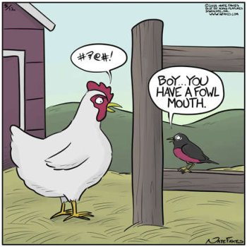 fowl cb.jpg