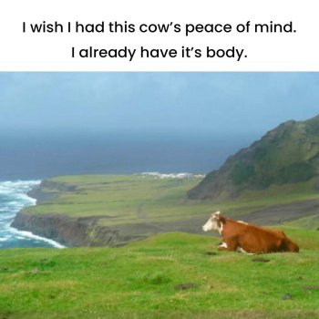 1748535112201.jpeg