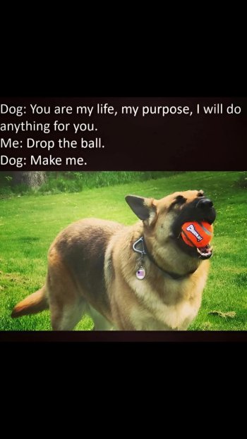 1748562298479.jpeg