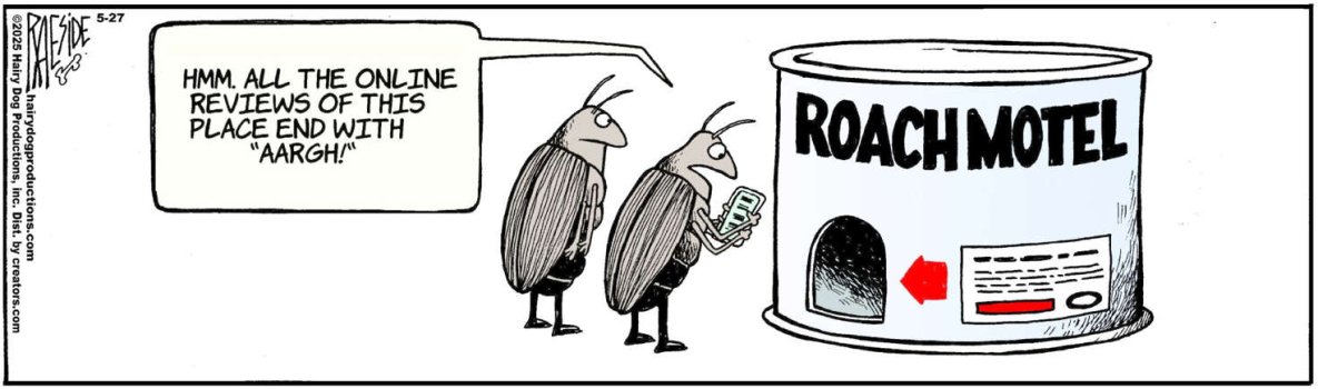 roach cb.jpg