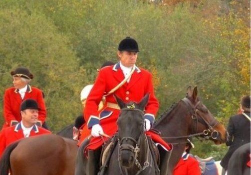 Vision Of The Fox Hunt