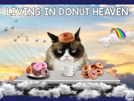 donut heaven.jpg