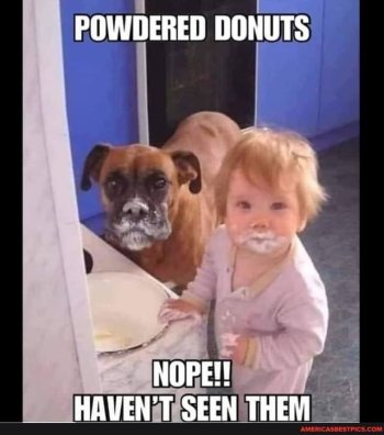 donuts 5 cb.jpg