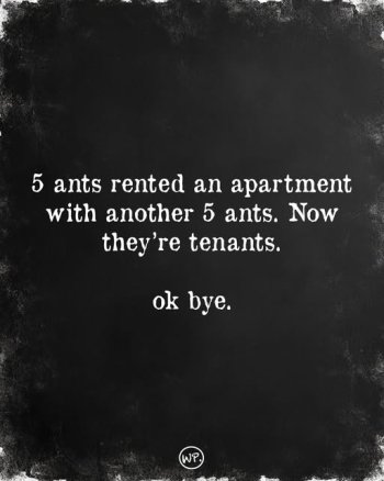 ten ants.jpg
