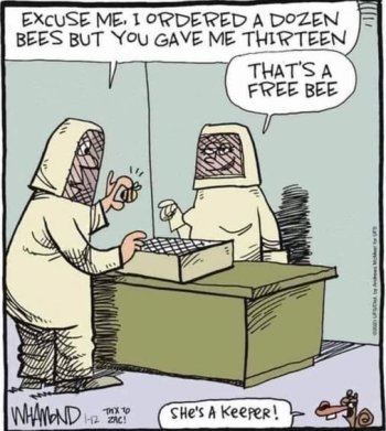 beee.jpg