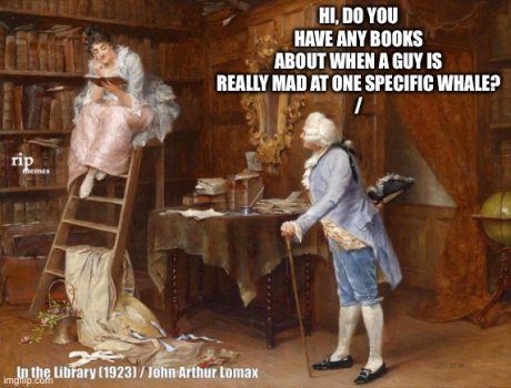1749154836971.jpeg