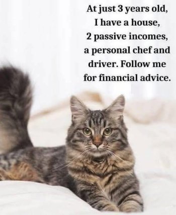 cat $.jpg