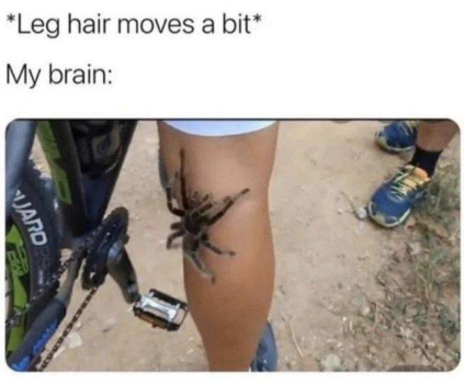 1749410838893.png