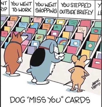 card cb.jpg
