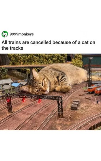 train cb.jpg