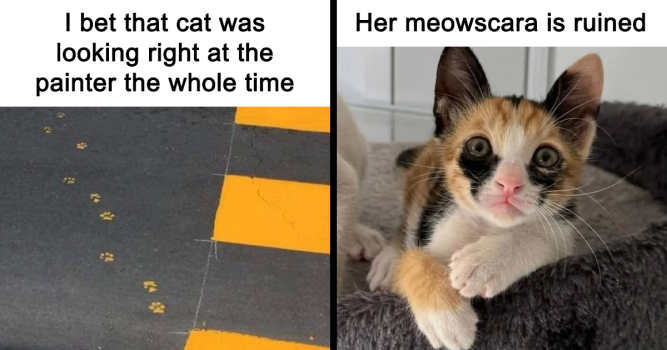 1749431670863.png