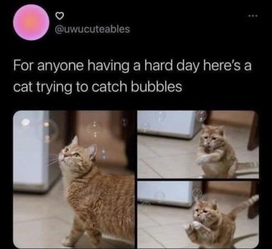 1749435561905.jpeg