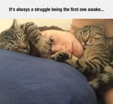 awake.jpg