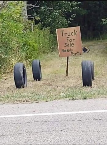 1749522117268.jpeg