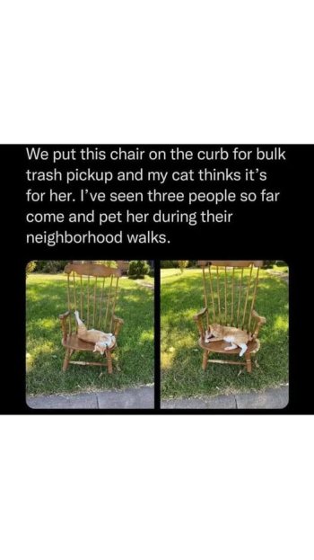 chair.jpg