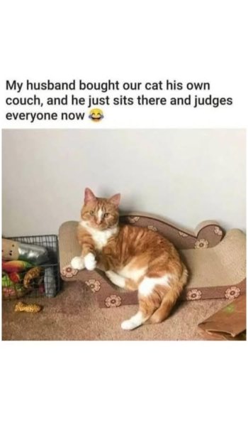 couch.jpg