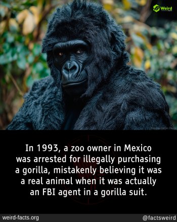 1749667845781.jpeg