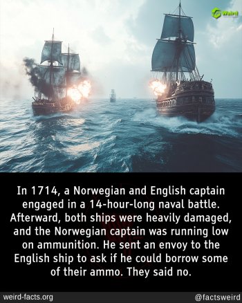 1749686458666.jpeg
