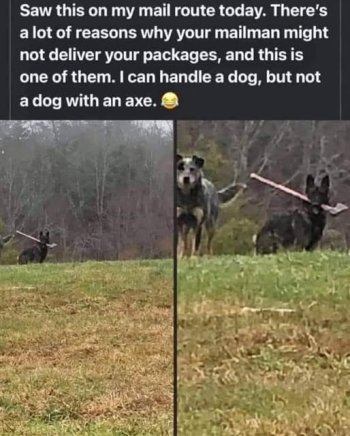 1749699077746.jpeg
