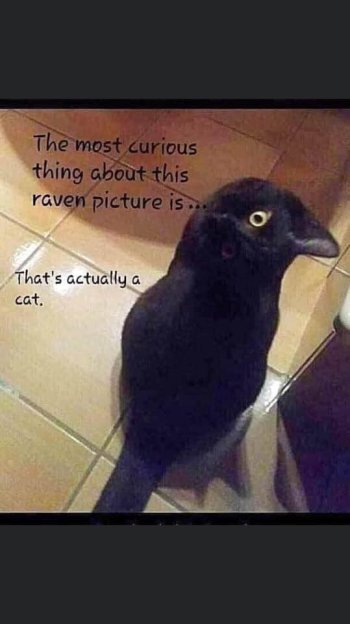 1749816753747.jpeg