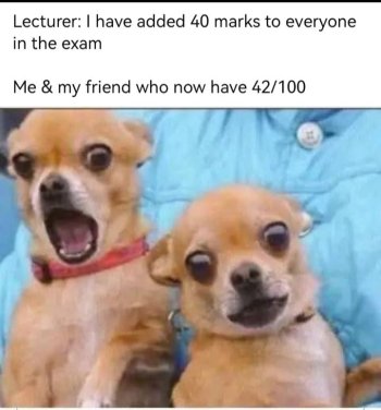 1749939352006.jpeg