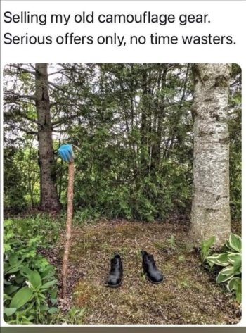 1749961044788.jpeg