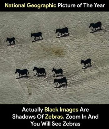 1750042153034.jpeg