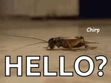 1750104688797.gif