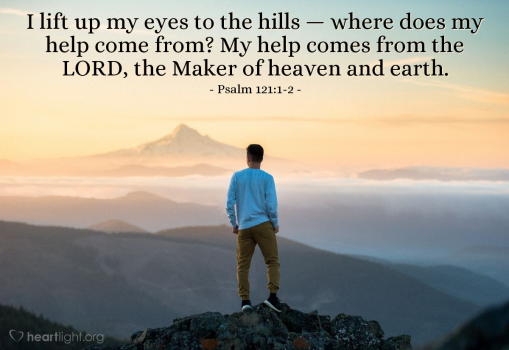 1750187574117.png