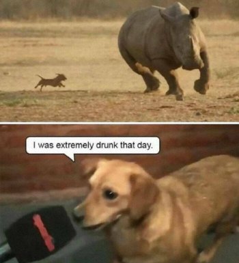 1750371310642.jpeg