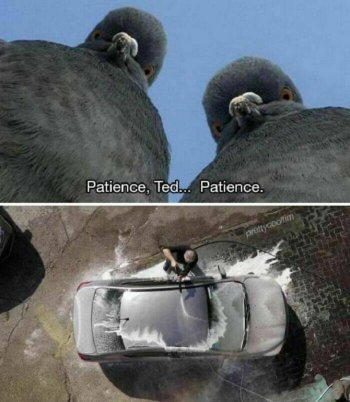 1750371644380.jpeg
