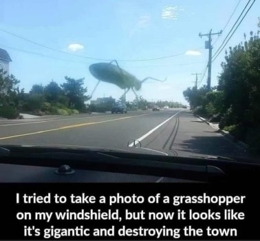 1750558404275.jpeg