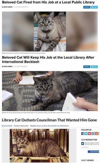1750590938058.jpeg