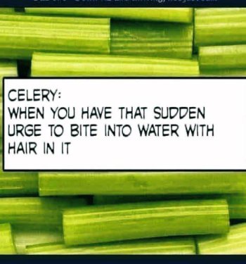 celery.jpg