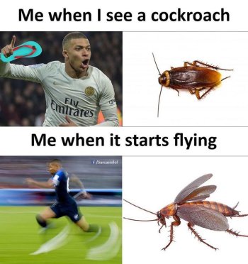 1750637690356.jpeg