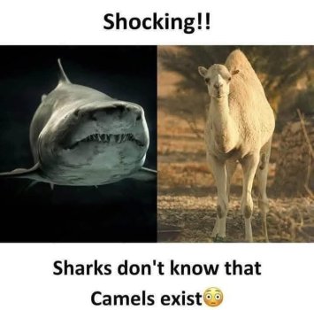 1750785870605.jpeg