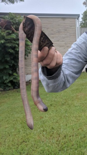 1751014603755.jpeg