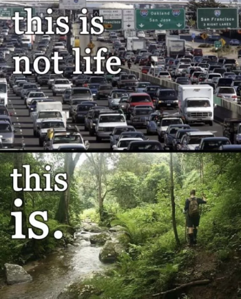 1751126584413.png