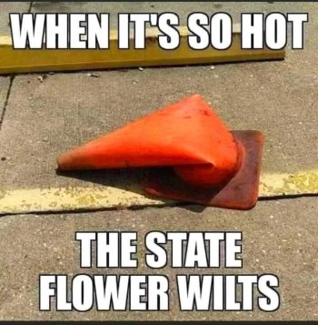 1751137014234.jpeg