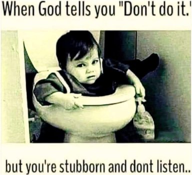 1751137657265.jpeg