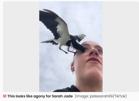 1751235939967.png