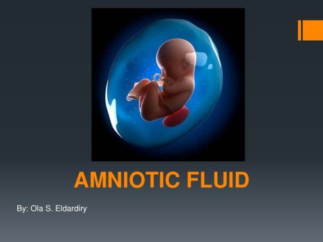 amniotic-fluid-1-1024-18152128.jpg