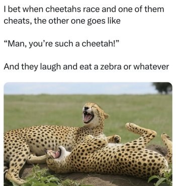 1751313505342.jpeg