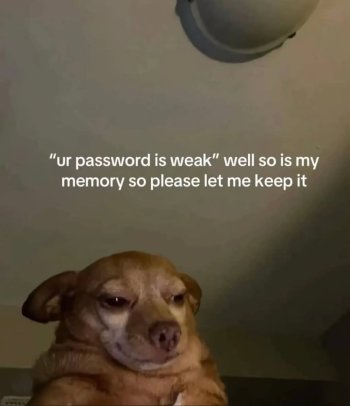 1751414418124.jpeg