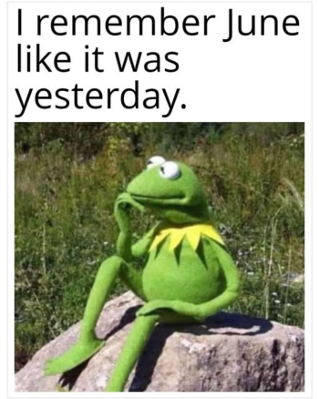 1751416646202.png