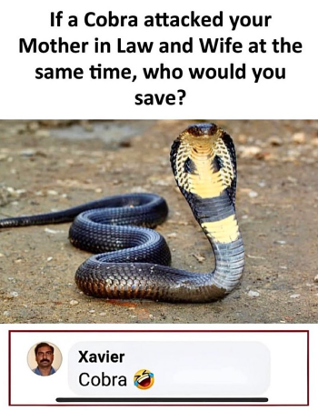 1751417553182.png