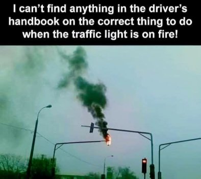 1751476185654.jpeg